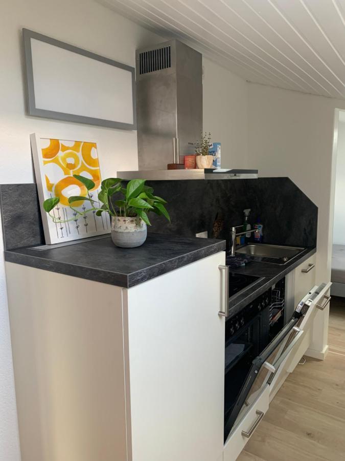 Schöne, große Ferienwohnung direkt am Donauradweg Herbertingen Exterior foto