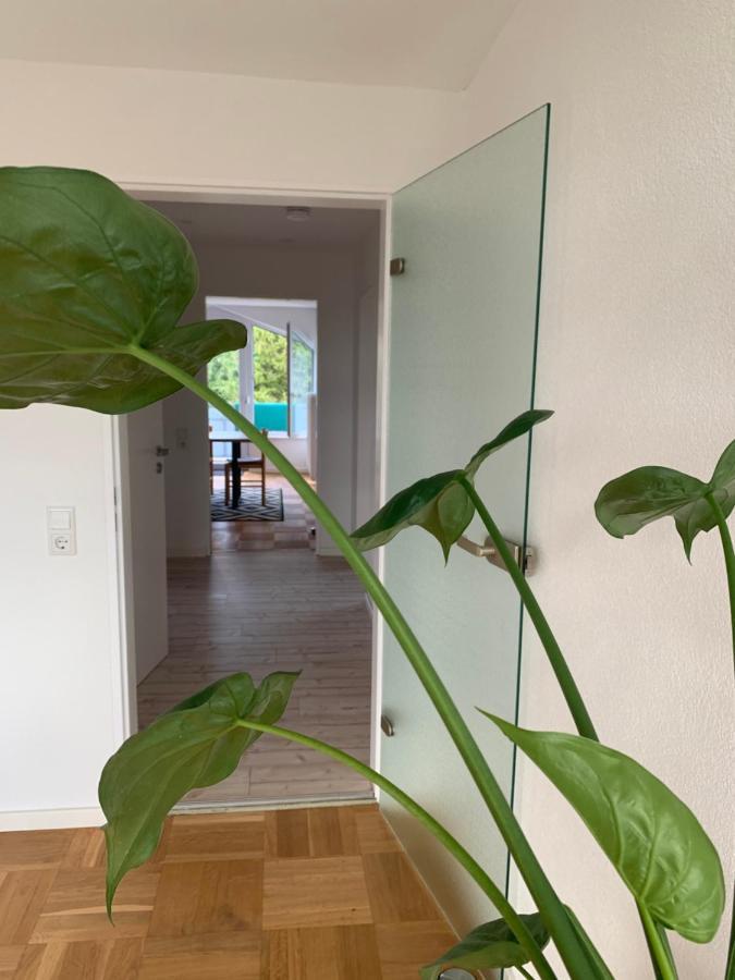 Schöne, große Ferienwohnung direkt am Donauradweg Herbertingen Exterior foto