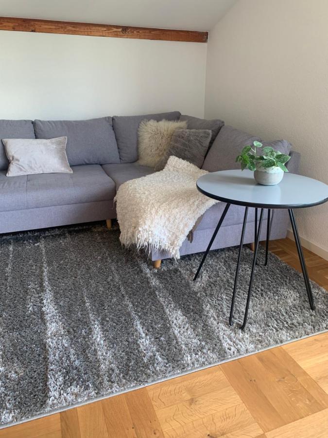 Schöne, große Ferienwohnung direkt am Donauradweg Herbertingen Exterior foto