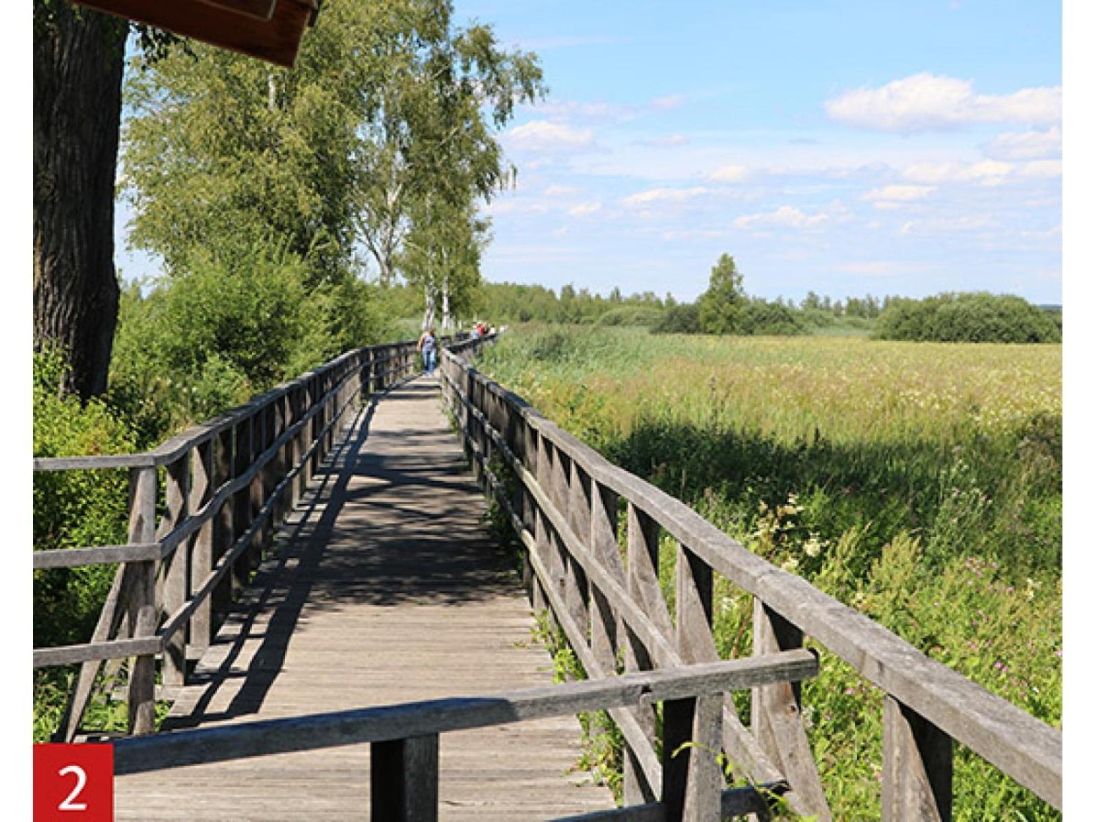 Schöne, große Ferienwohnung direkt am Donauradweg Herbertingen Exterior foto